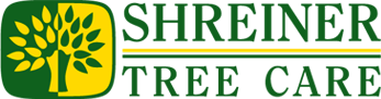 Tree & Shrub Fertilization