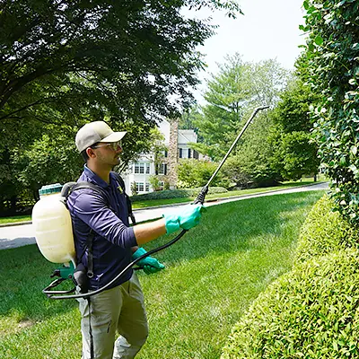 Shreiner Tree Care - Insect, Mite and Disease Control Photo