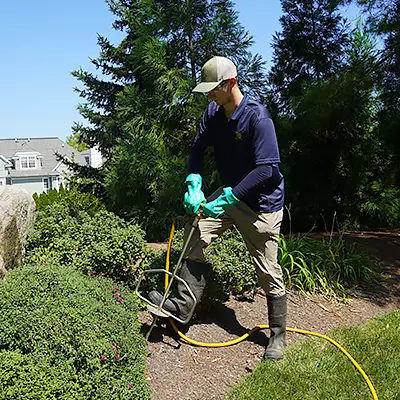 Shreiner Tree Care - Tree and Shrub Fertilization Photo