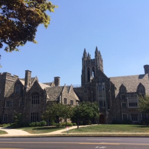 Tree service near Merion, PA castle style house