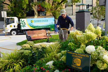 Shreiner Tree Care - Wayne Beautification