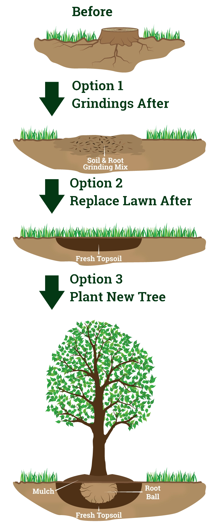 Stump grinder performing stump removal
