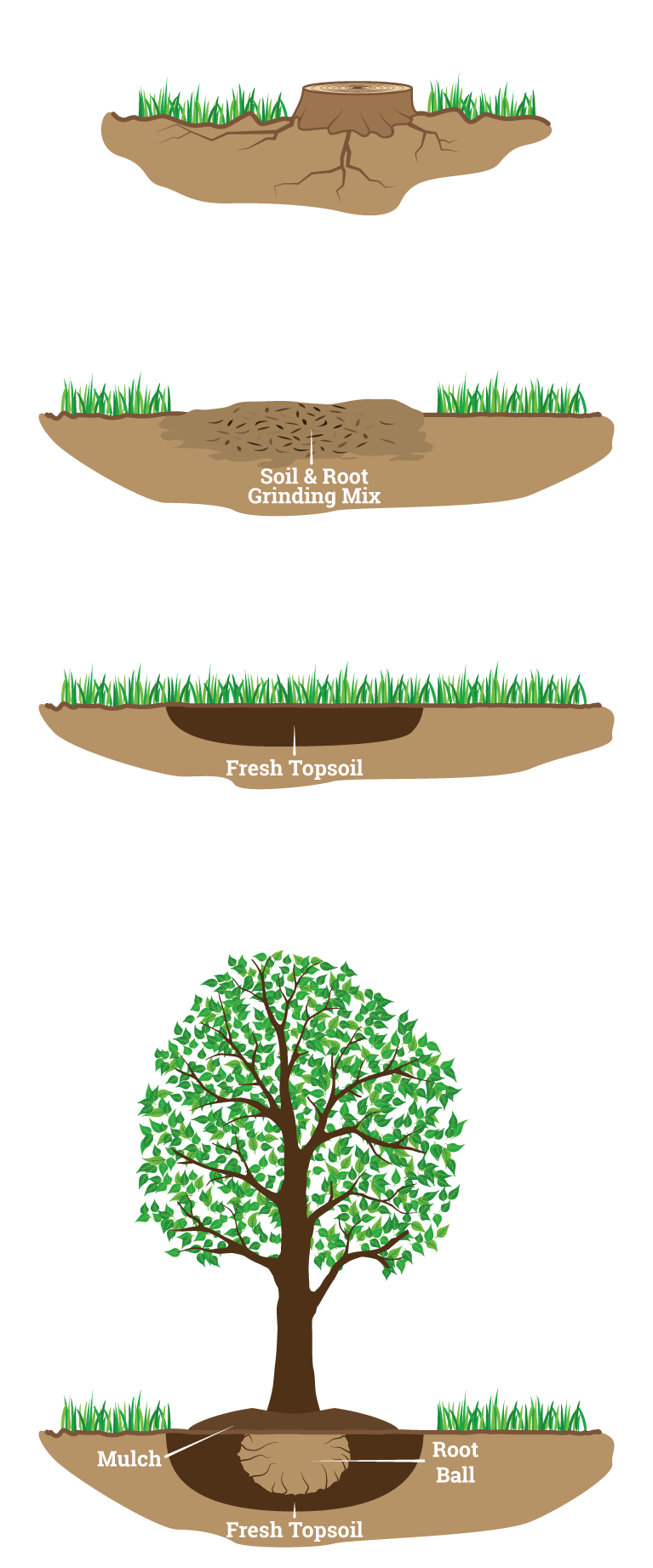 Stump grinder performing stump removal