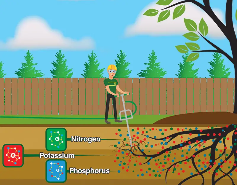 Plant Health Care 2021 Year in Review