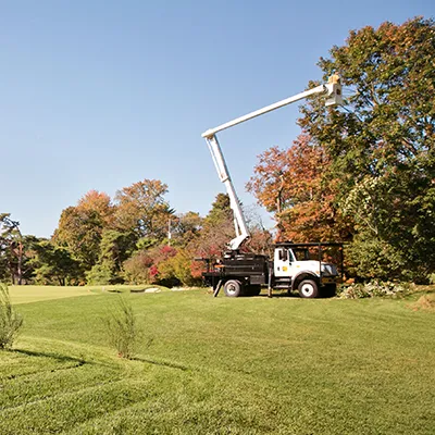 golf course tree service bucket