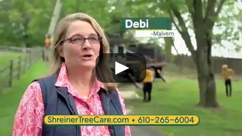 home video thumbnail