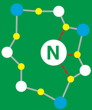 Shreiner Tree Care - Root Chemicals - Nitrogen Atom