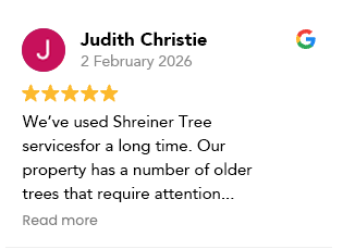 Customer review 2