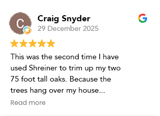 Customer review 3
