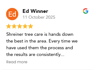 Customer review 4