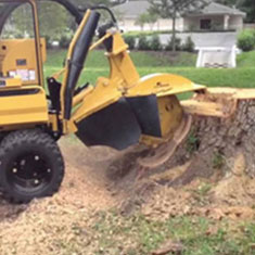 Shreiner Tree Care Services - Stump Removal Photo