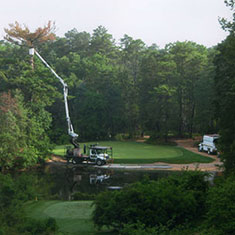 Shreiner Tree Care Services - Golf Course Tree Services