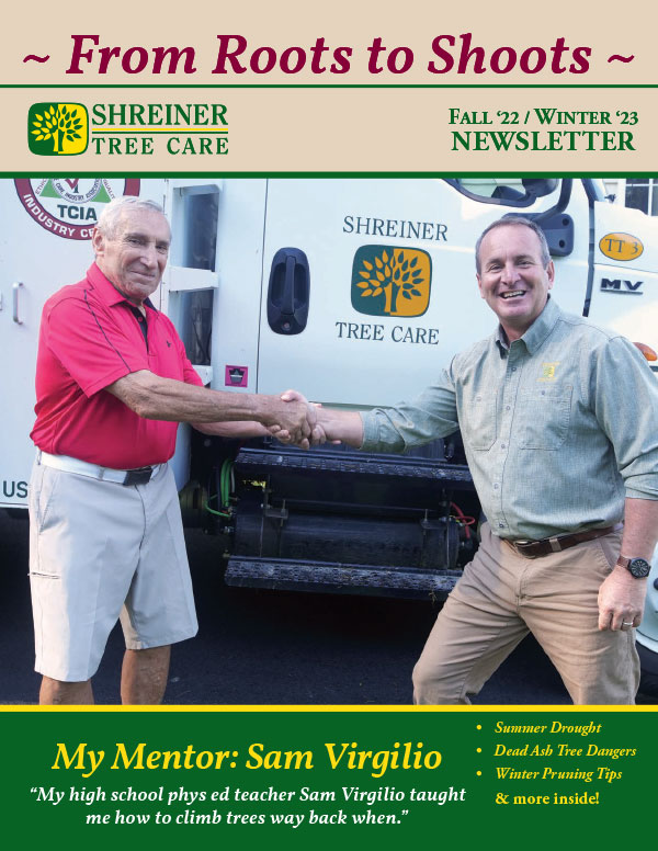 Shreiner Tree Care Newsletters