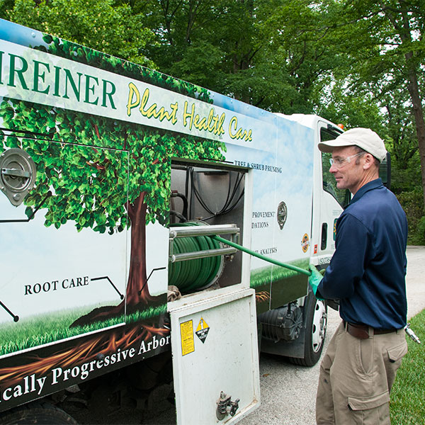 Shreiner Tree Care Services - Tree & Shrub Fertilization Photo