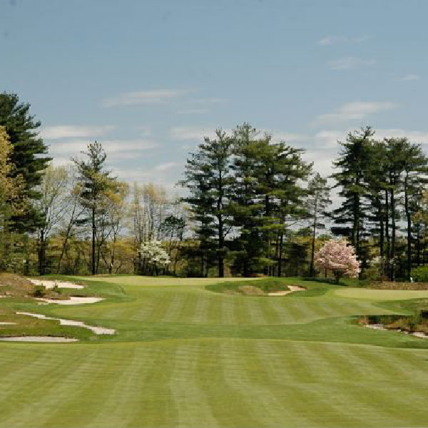 Shreiner Tree Care - Golf Course Tree Services - Have beautiful trees and healthy turf