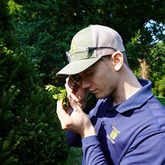 Shreiner Tree Care Services - Insect, Mite & Disease Control Photo