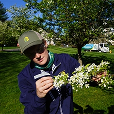 Shreiner Tree Care Services - Plant Health Care Photo