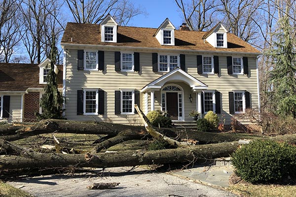 Storm Damage