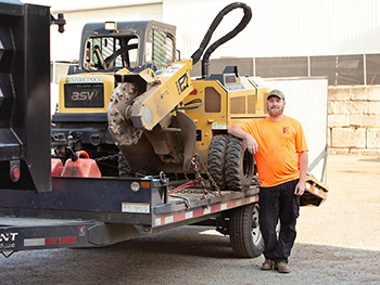 Shreiner Tree Care - Tree Removal - Taking Down Old Trees