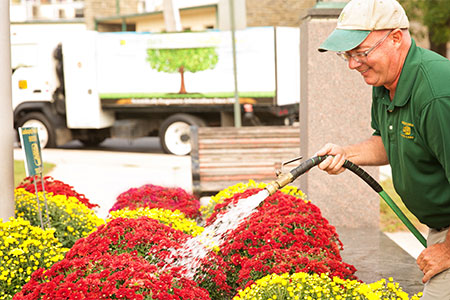 Shreiner Tree Care - Wayne Beautification