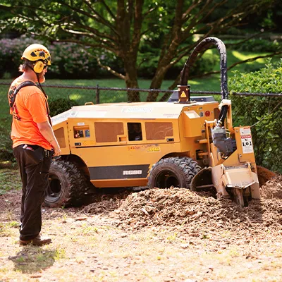 tree and stump removal bucket
