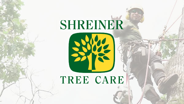 Shreiner Tree Care - Emerald Ash Borer Treatments Video